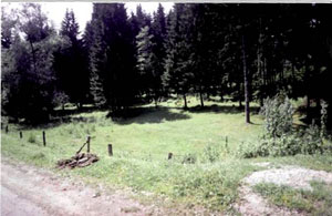 Земельна ділянка в с. Розтоки